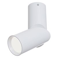 Ceiling & Wall Dafne Потолочный светильник, цвет -  Белый, 10W
