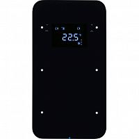 75642065 Touch sensor, 2-канальный, стекло, with thermostat, черный, R.1