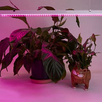 41353 Светодиодный светильник для растений 18W, пластик, с сетевым и соединительным шнуром в комплекте, AL7001  - фотография 2