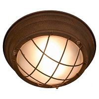 HUNTSVILLE Потолочный светильник, цвет основания - коричневый, плафон - стекло (цвет - белый), 2x40W E27, LSP-8068