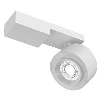 C062CL-L12W4K Ceiling & Wall Treo Потолочный светильник, цвет -  Белый, 13W