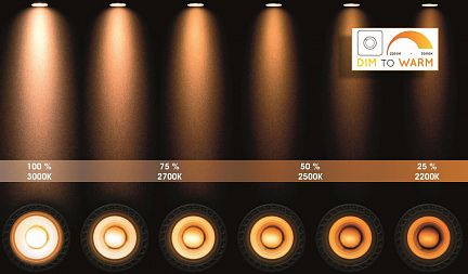 09119/11/30 XIRAX Потолочный светильник 2xGU10/5W LED DTW Black  - фотография 6
