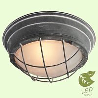 GRLSP-9881 BRENTWOOD Потолочный светильник, цвет основания - серый, плафон - стекло (цвет - белый), 2x10W E27