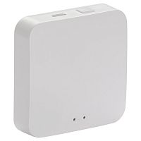 IT-HWZ-K01 iTEQ SMART-HUB WiFi+ZigBee USB белый ONI