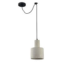 Maytoni Broni Подвесной светильник, цвет: Черный 1х60W E27