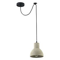 Maytoni Broni Подвесной светильник, цвет: Черный 1х60W E27, T434-PL-01-GR