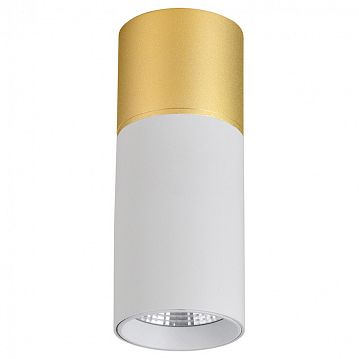 3073-1C Deepak потолочный светильник D50*H139, LED*5W, 350LM, 4000K, IP20, included; накладной светильник, каркас сочетает в себе два цвета - золото и белый  - фотография 2