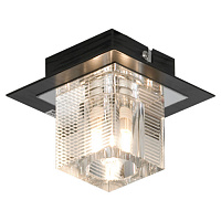 GRLSF-1307-01 NOTTE DI LUNA Потолочный светильник, цвет основания - хром, плафон - стекло (цвет - прозрачный), 1x5W G9, GRLSF-1307-01