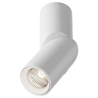 C027CL-L10W4K Maytoni Technical Dafne Потолочный светильник Цвет: Белый 10W