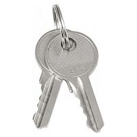 key-1 Ключ для замка (арт. 18-20/38-ip31) EKF PROxima