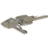 036545 Аксессуары для автоматического запирания - набор из 2-х ключей 2433 A