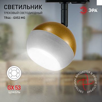 Б0054154 Трековый светильник однофазный ЭРА TR46 - GX53 MG под лампу GX53 матовое золото  - фотография 5