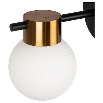 FR5233WL-01BS Modern Gatsby Настенный светильник (бра), цвет: Латунь 1х25W G9, FR5233WL-01BS  - фотография 2