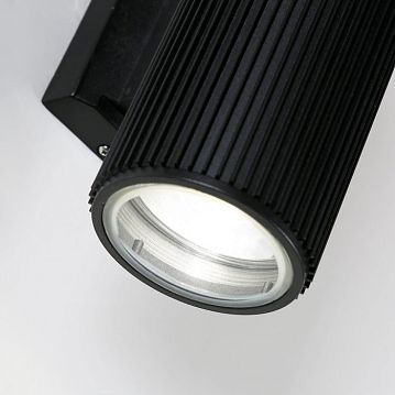 2858-2W Pola уличный светильник D155*W90*H260, 2*E27*60W, IP54, excluded; уличный светильник черного цвета с металлическим каркасом; источник света спрятан под закаленным стеклом; IP54  - фотография 5