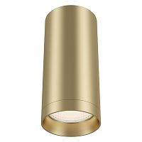 C010CL-01MG Ceiling & Wall Focus Потолочный светильник, цвет -  Матовое Золото, 1х50W GU10