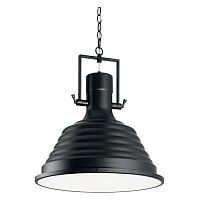 125831 FISHERMAN SP1 D48, подвесной светильник, цвет плафона - черный, max 1 x 60W E27