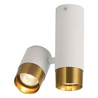 LSP-8829 Потолочный светильник, цвет основания - белыйбронзовый, плафон - металл, 2х50W Gu10
