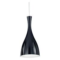 012919 OLIMPIA SP1, подвесной светильник, цвет арматуры - хром, цвет плафона - черный, 1 x 60W E27
